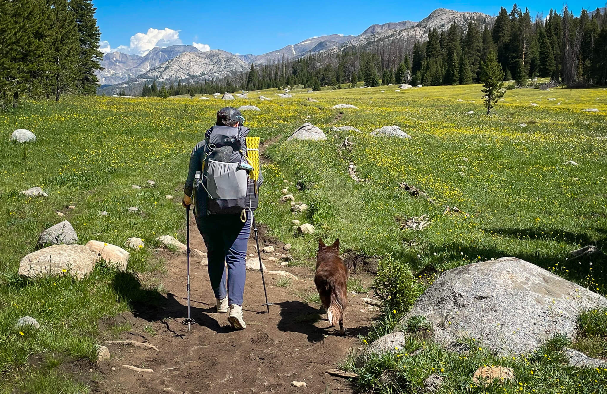 Nuthin and Merci in the Wind River Range