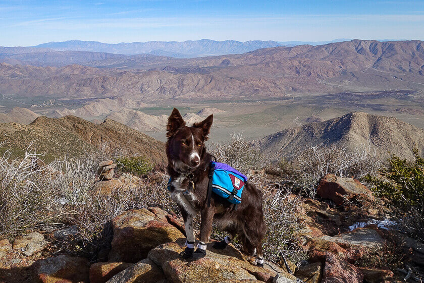 Backpacking With Your Dog: Packing List - Gator And Nuthin